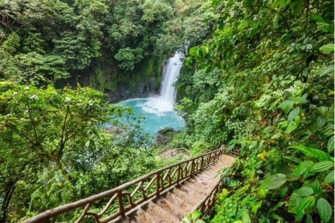 costa rica biodiversidad en puro estado